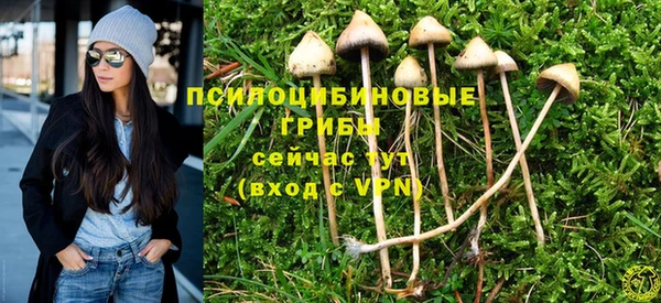 ALPHA-PVP Арсеньев