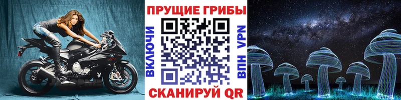 Галлюциногенные грибы Magic Shrooms  как найти наркотики  Заозёрный 